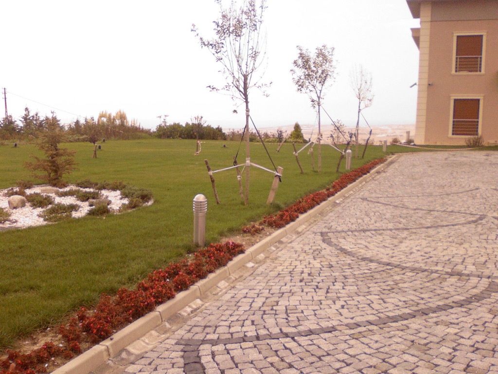 (ZZZ).Nuri Kaplan gallery image 3