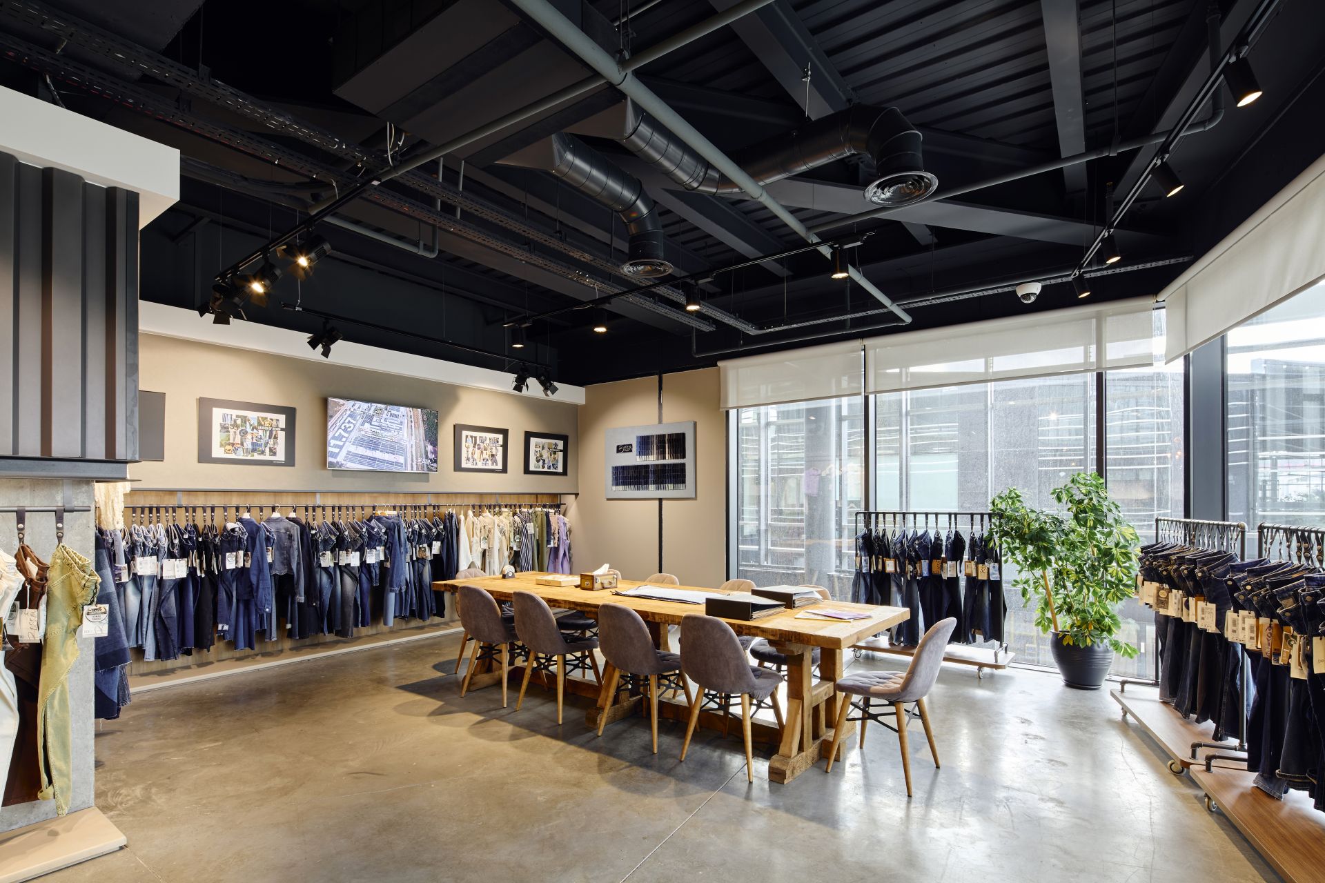 2023-Bossa  OĞUZ Balance + gallery image 29