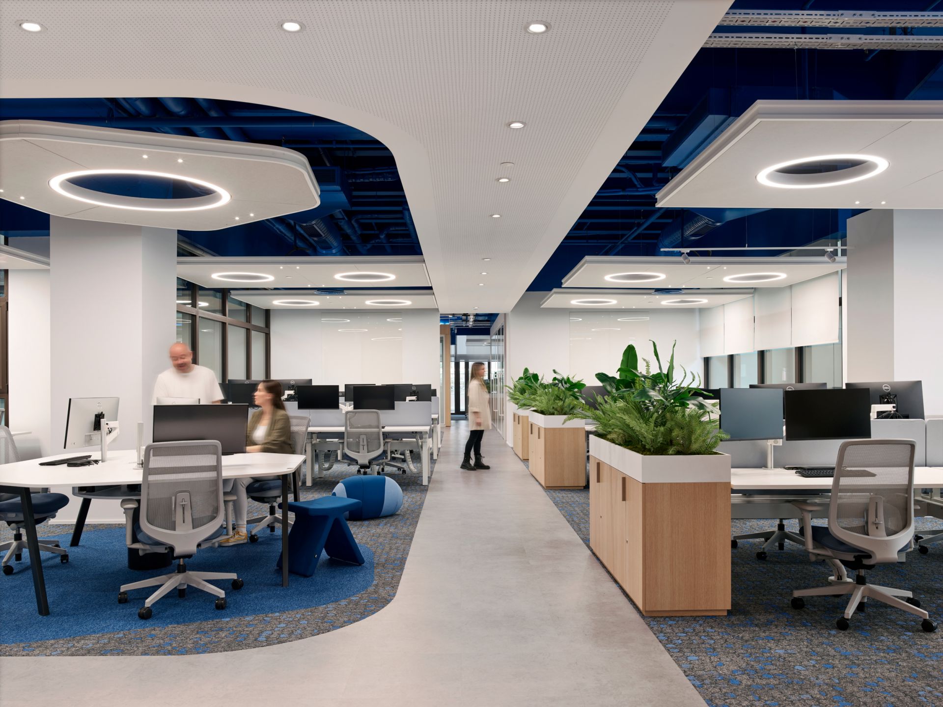 Amadeus+ gallery image 36