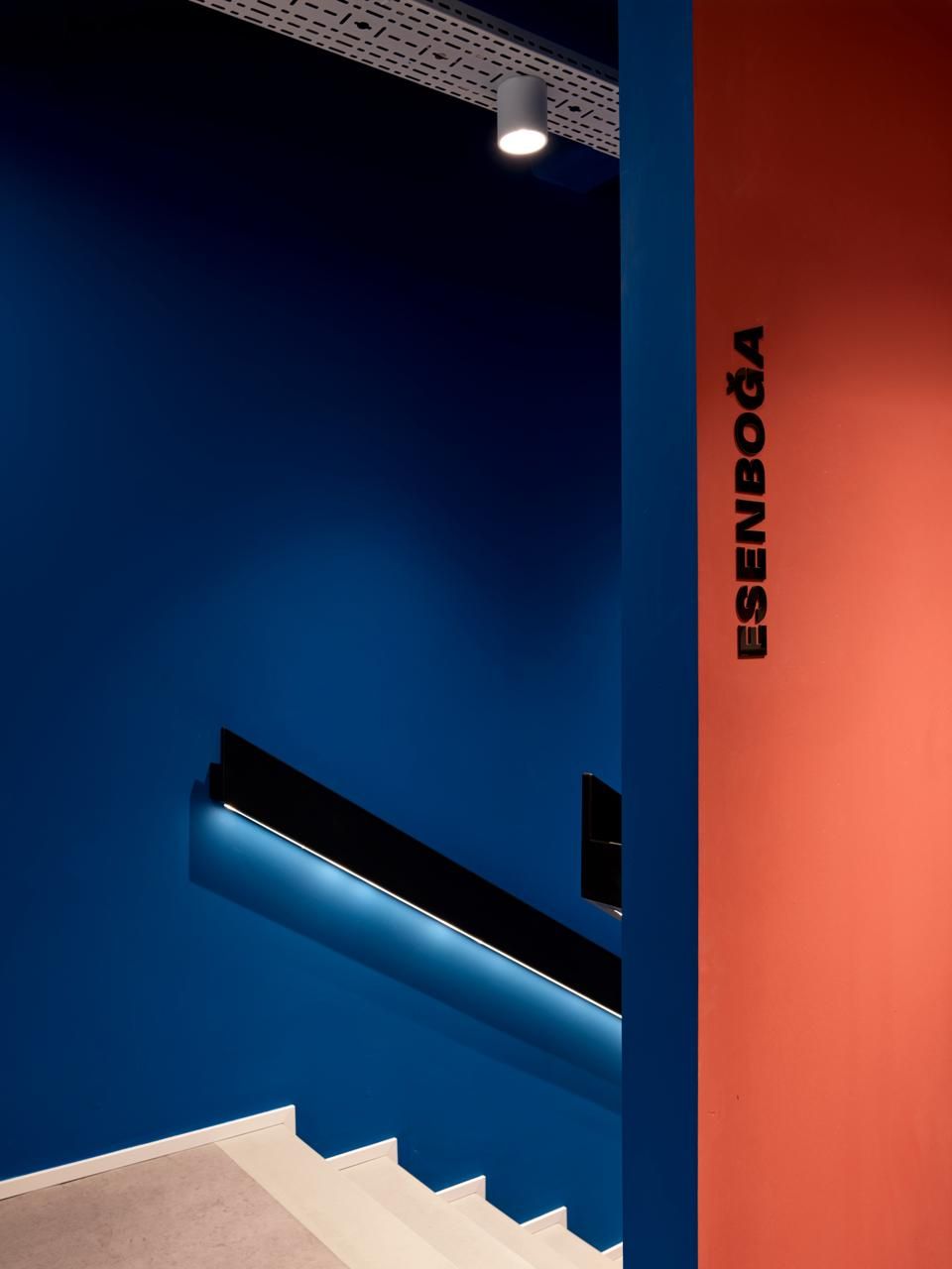 Amadeus+ gallery image 23