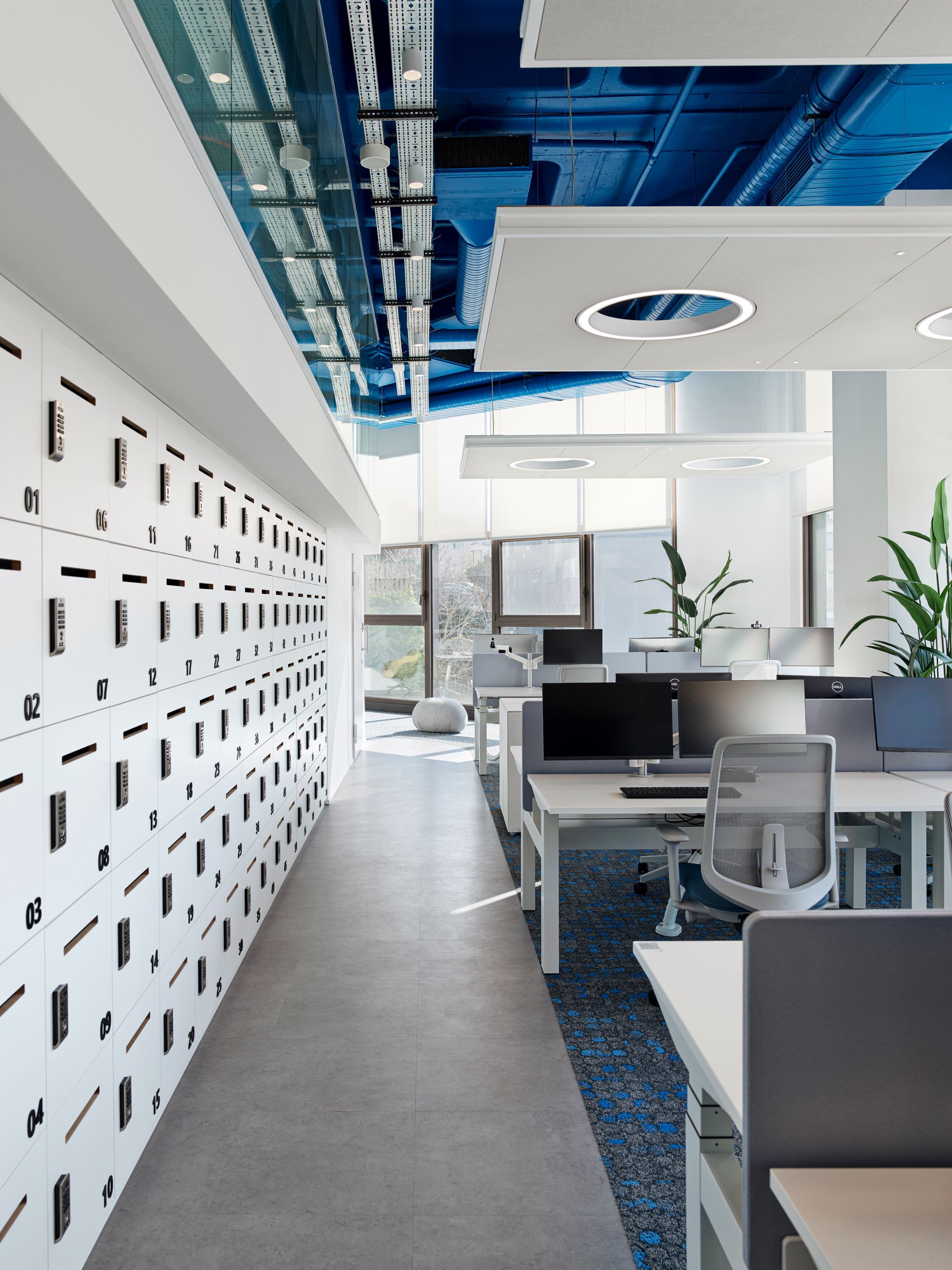 Amadeus gallery image 3