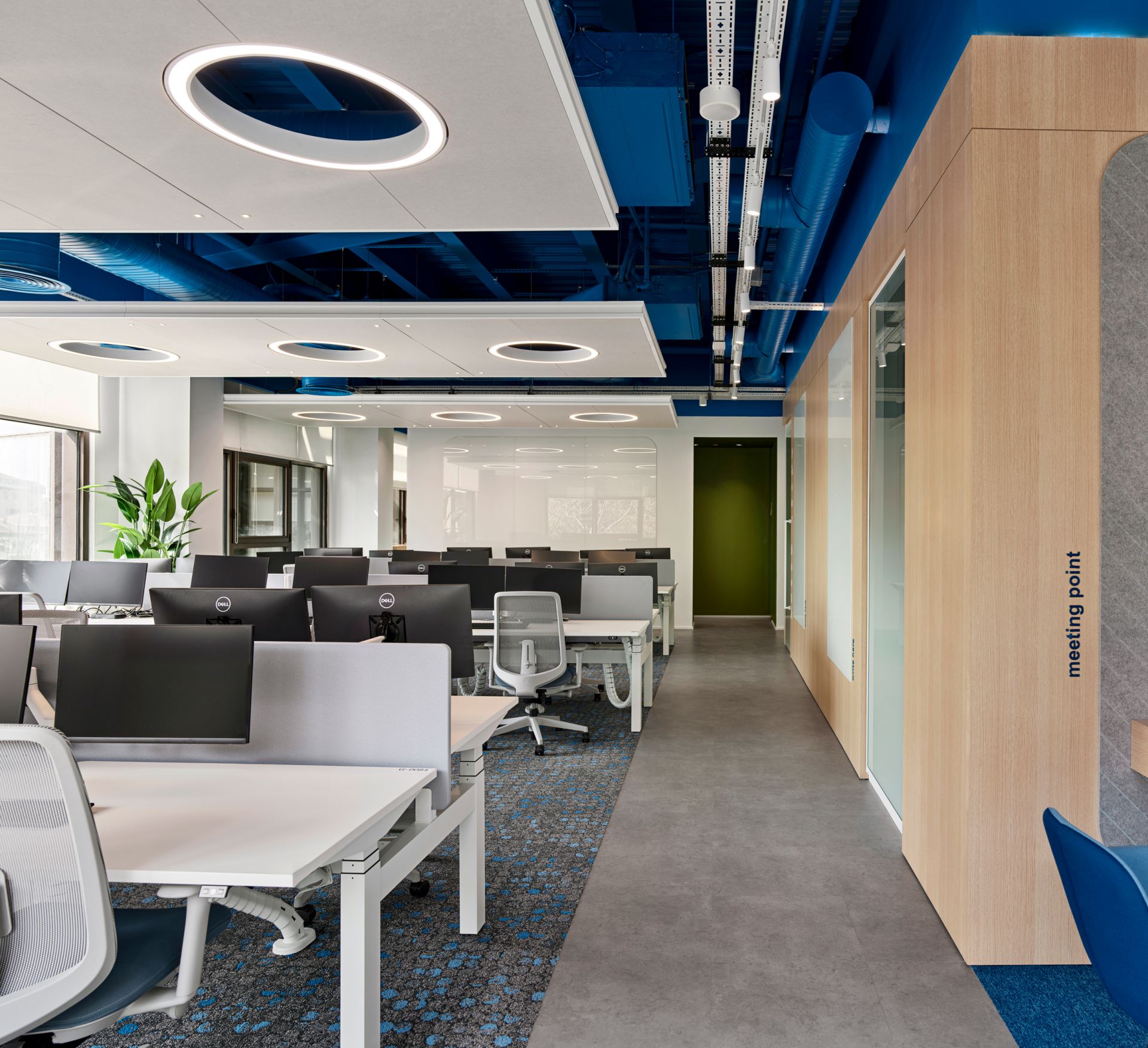 Amadeus gallery image 31