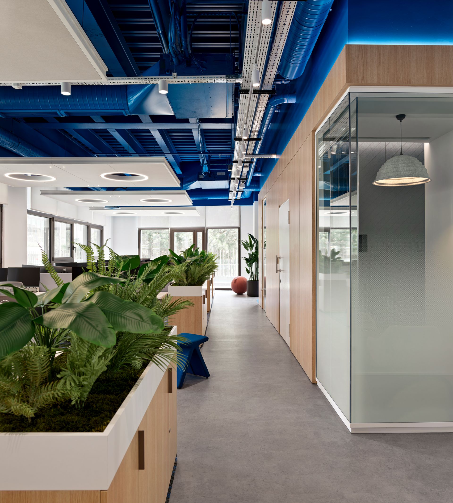 Amadeus gallery image 26