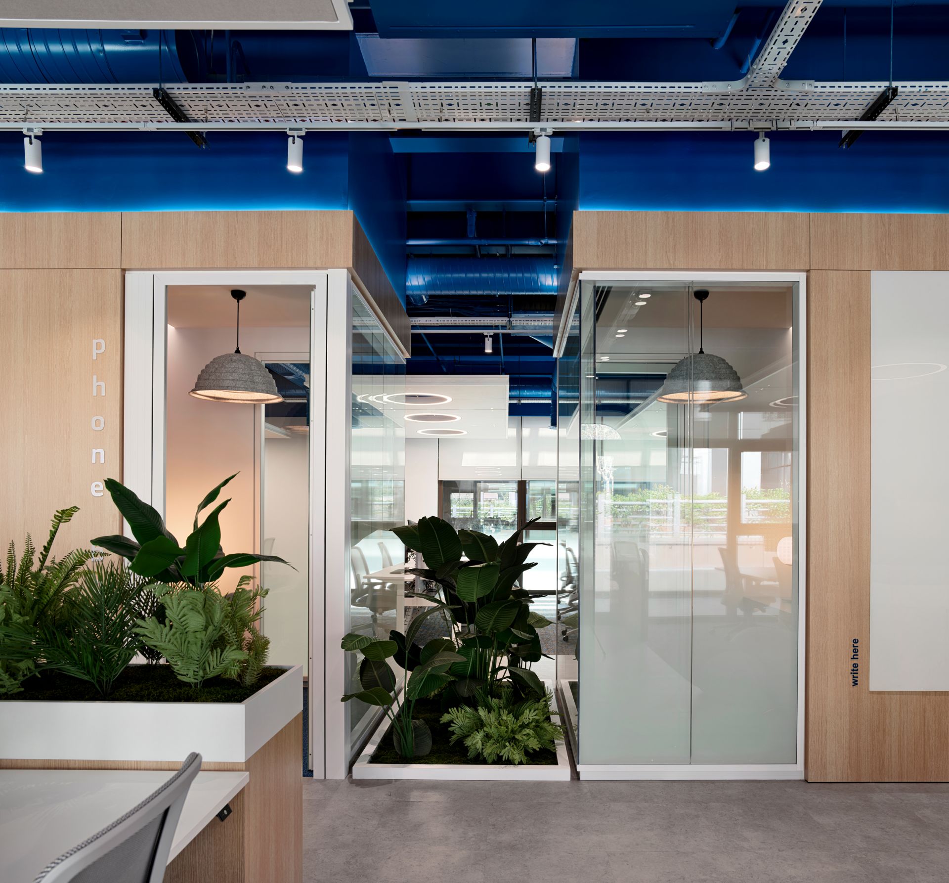 Amadeus gallery image 25