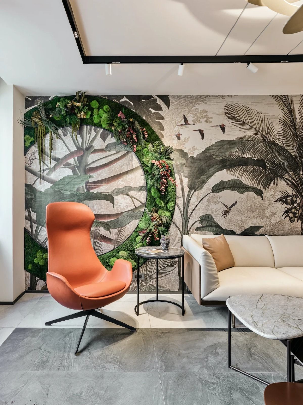 Dr. Ferdi Allaf Klinik